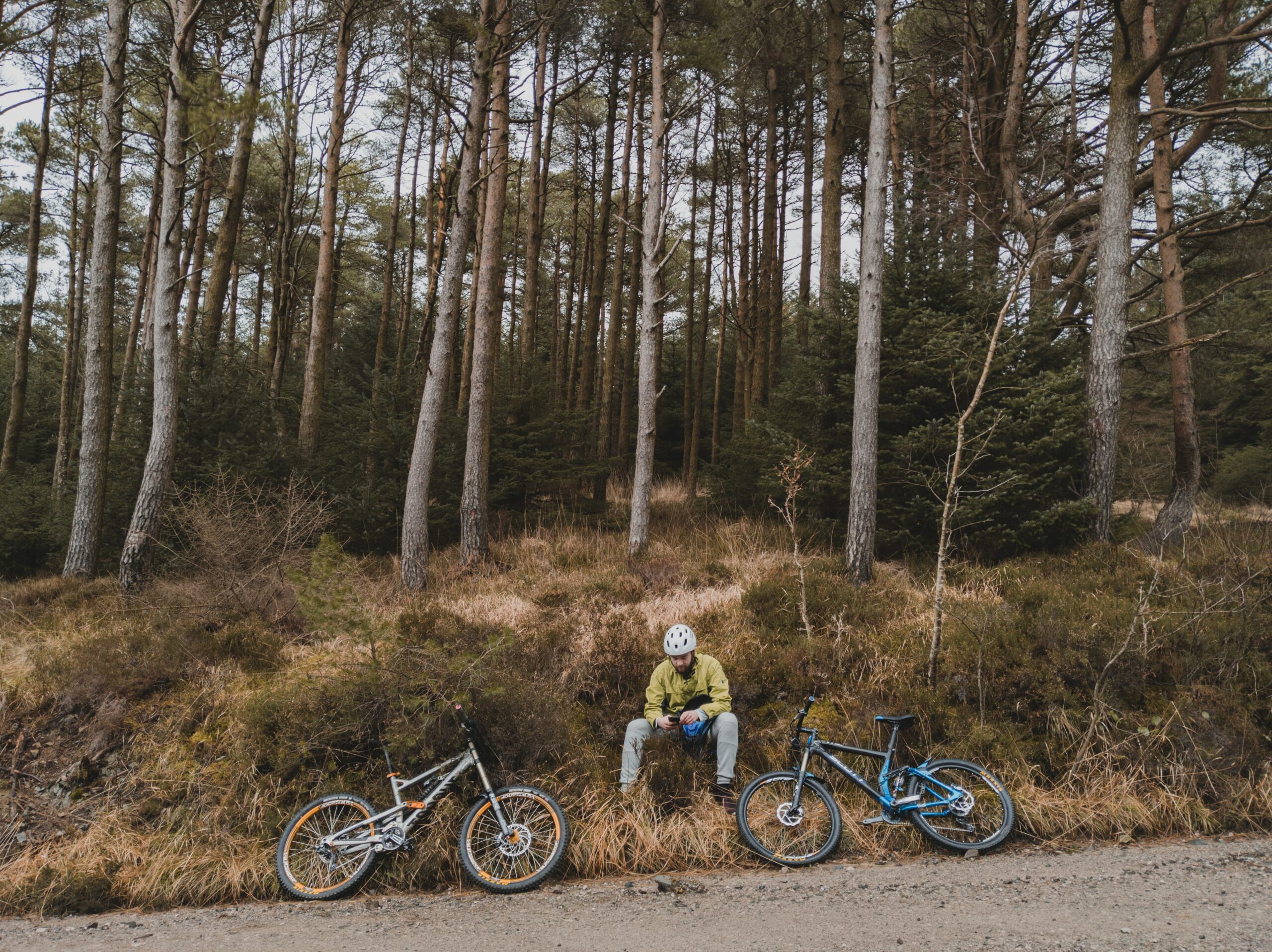 Grizedale mountain bike online trails